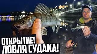 Ловля судака на джиг. Новый шнур. Приманки Перчик.
