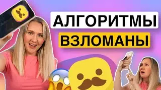 АЛГОРИТМЫ ####