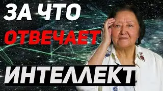 До какого возраста надо развивать свой интеллект
