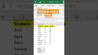 how to filter with multiple criteria in EXCEL 