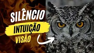 O PODER DAS ASAS NOTURNAS - 11 Comportamentos da Coruja para mudar de vida.