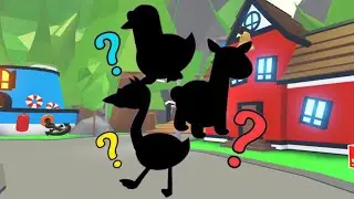 Конкурс на ФР пета adopt me Roblox 