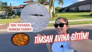 FLORİDA'DA TİMSAH AVINA GİTTİM! 🐊 Evimin önünde timsahlar yaşıyor!😱 I Tek tavada somon tarifi!🥰