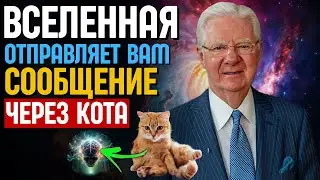 МИССИЯ КОШЕК НА ЗЕМЛЕ – КАКОЕ ПОСЛАНИЕ ОН ХОЧЕТ НАМ ПЕРЕДАТЬ? ЗАКОН ПРИТЯЖЕНИЯ