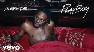 Fireboy DML - Playboy (Official Visualizer)
