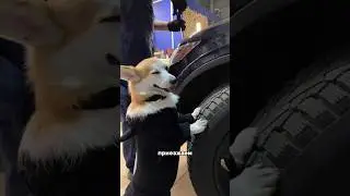 КАЖЕТСЯ МОЙ БАТЯ НАРКОМАN 