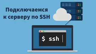 Подключение к серверу через SSH | Windows | Linux | UnixHost