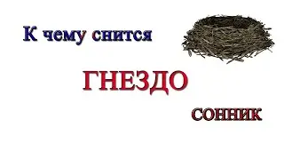 Сонник гнездо во сне толкование сна