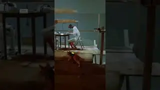 Bad Kitty