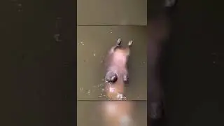 Люди Думали Что Он Дохлый