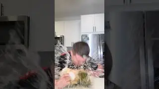 Захар ломает новый вид кокосов🥥 😂 TT: mer1tys 