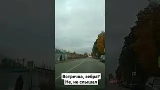 БМВ, сплошная и зебра