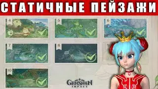Статичные Пейзажи | Genshin Impact | Отправляйтесь в указанное на снимке место, гайд Сумеру