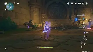 Primer Puzzle electro Isla Tsurumi buscando las plumas moradas cima Shirikoro Genshin Impact