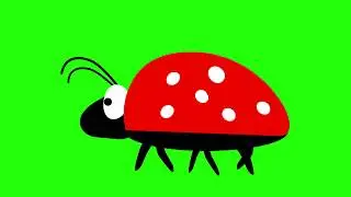 Green screen animals and creatures || FREE download link