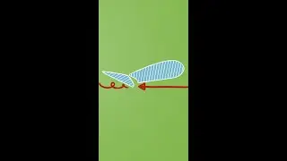 Adverse yaw explained