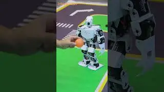 No goalkeeper stands a chance against the unstoppable Robotic Messi, TonyPi⚽️🥅👉