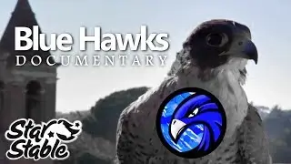 Blue Hawks - Documentary
