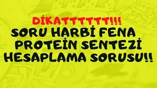 Soru harbi fena 🤠 Protein Sentezi hesaplama sorusu!!
