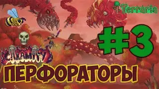 Перфораторы. Террария каламити мод #3