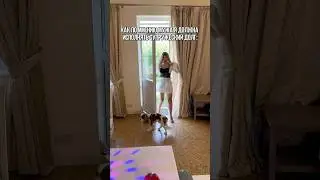 😂 