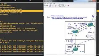 BGP Next Hop Processing