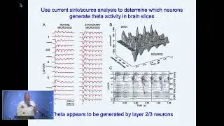 2024 TSC WORKSHOP 2 - NEUROPHYSIOLOGY OF LOSS & RECOVERY OF CONSCIOUSNESS v2