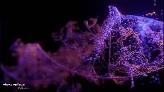 Particle Animation with sound effect. Made using blender and adobe premiere pro