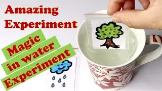 illusion Magic | Amazing Experiment at home | Water Illusion | YouTube Shorts 