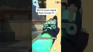 Kayo Lineups for Haven!
