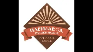 Эфир с эмитентом ООО «ПЗ «Пушкинское».