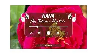 HANA MY FLOWER MY LOVE | UV MUSIC