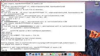 A very brief guide to gdb