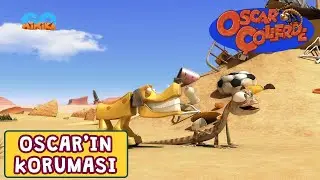 Oscar Çöllerde 🦎 | Oscar'ın Koruması | Minika