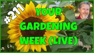 Summer Gardening (Q&A)