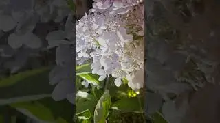 Хороша 🌸