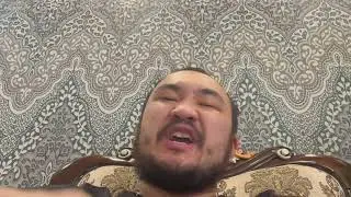 Проверка проекта на СКАМ Шиба ину Shiba iny