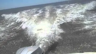 Bowleys Quarters 17' Bayliner