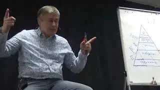 О пользе БАДов и здоровье нации Гинкго Билоба (гингко билоба)