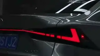Стопы IS250