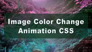 How to Change Image Color Using CSS | Image Color Change Animation Using HTML & CSS