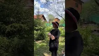 Приехали на лесной участок