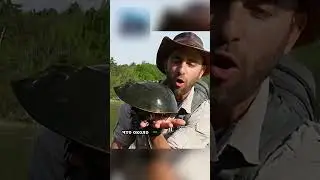 Это существо спасло миллионы жизней😇 А люди его едят😬