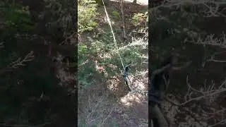 Person is doing flips while highlining in the woods!