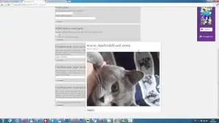 Полный обзор сервиса androidlost.com (Найди утерянный смартфон)