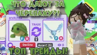 ЧТО ДАЮТ ЗА ФР ЧЕРЕПАХУ В АДОПТ МИ В 2024 ГОДУ?! ТОП ТРЕЙДЫ НА ЧЕРЕПАХУ! Adopt Me Roblox Trades