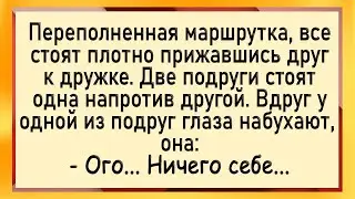 Как женщине в маршрутке засадили! Сборник свежих анекдотов! Юмор!