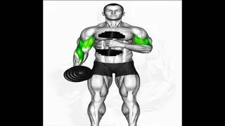 Sholder Gym Workout