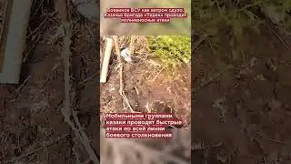 Боевиков ВСУ как ветром сдуло. Казачья бригада «Терек» проводит молниеносные атаки 