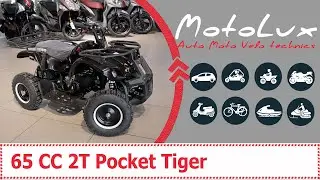65 CC 2T Pocket Tiger відеоогляд квадроцикла || 65 CC 2T Поцкет Тайгер видеообзор квадроцикла